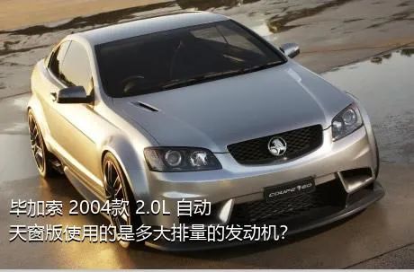 毕加索 2004款 2.0L 自动天窗版使用的是多大排量的发动机？