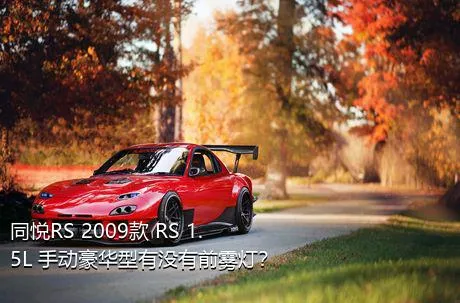 同悦RS 2009款 RS 1.5L 手动豪华型有没有前雾灯？