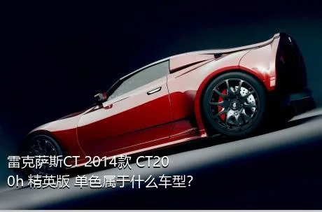 雷克萨斯CT 2014款 CT200h 精英版 单色属于什么车型？