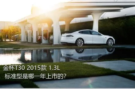 金杯T30 2015款 1.3L 标准型是哪一年上市的？