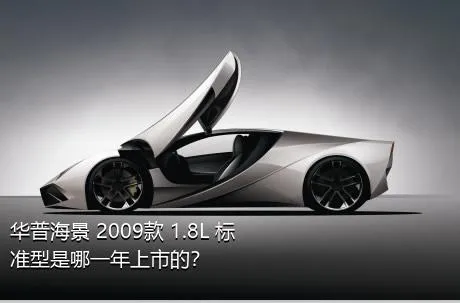 华普海景 2009款 1.8L 标准型是哪一年上市的？