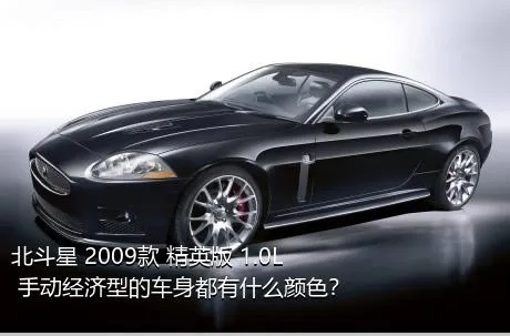 北斗星 2009款 精英版 1.0L 手动经济型的车身都有什么颜色？