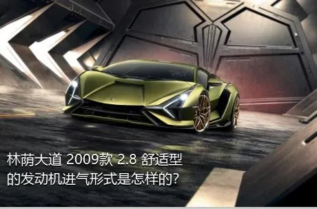 林荫大道 2009款 2.8 舒适型的发动机进气形式是怎样的？