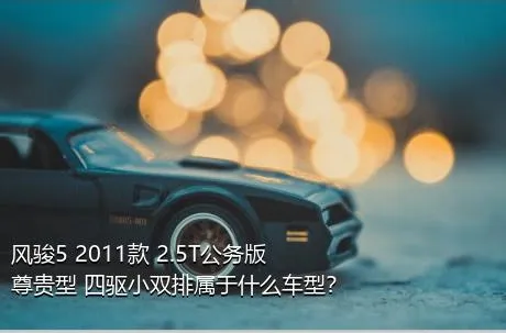 风骏5 2011款 2.5T公务版 尊贵型 四驱小双排属于什么车型？