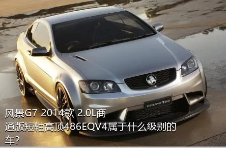 风景G7 2014款 2.0L商通版短轴高顶486EQV4属于什么级别的车？