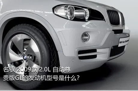 名驭 2009款 2.0L 自动尊贵版GL的发动机型号是什么？