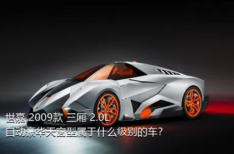 世嘉 2009款 三厢 2.0L 自动豪华天窗型属于什么级别的车？