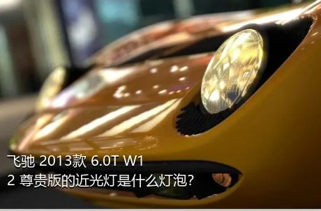 飞驰 2013款 6.0T W12 尊贵版的近光灯是什么灯泡？