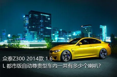 众泰Z300 2014款 1.6L 都市版自动尊贵型车内一共有多少个喇叭？