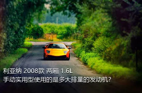 利亚纳 2008款 两厢 1.6L 手动实用型使用的是多大排量的发动机？