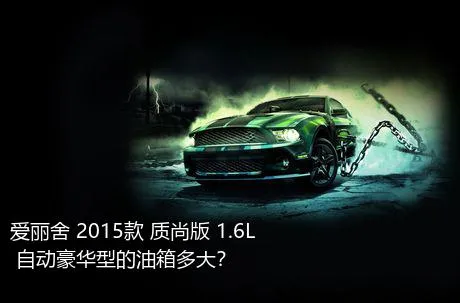 爱丽舍 2015款 质尚版 1.6L 自动豪华型的油箱多大？