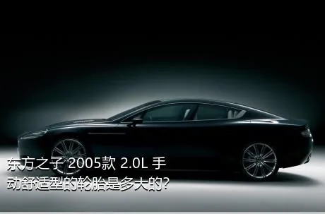 东方之子 2005款 2.0L 手动舒适型的轮胎是多大的？