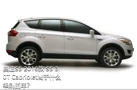 奥迪S5 2016款 S5 3.0T Cabriolet属于什么级别的车？