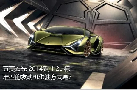 五菱宏光 2014款 1.2L 标准型的发动机供油方式是？