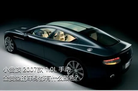 小贵族 2007款 1.0L 手动金贵型的车身都有什么颜色？