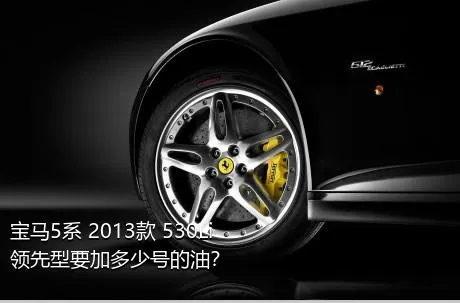 宝马5系 2013款 530Li 领先型要加多少号的油？