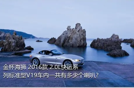 金杯海狮 2016款 2.0L快运系列标准型V19车内一共有多少个喇叭？