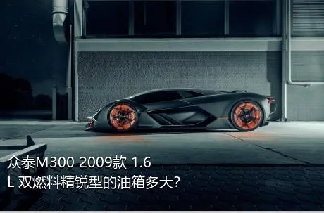 众泰M300 2009款 1.6L 双燃料精锐型的油箱多大？