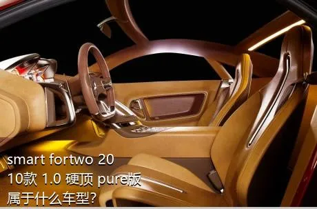 smart fortwo 2010款 1.0 硬顶 pure版属于什么车型？