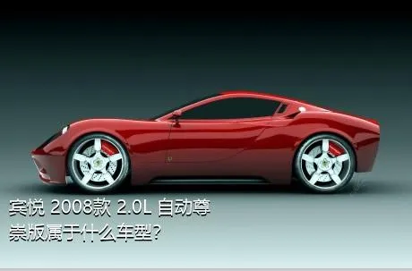 宾悦 2008款 2.0L 自动尊崇版属于什么车型？