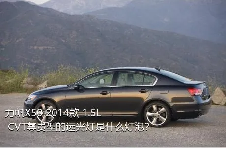 力帆X50 2014款 1.5L CVT尊贵型的远光灯是什么灯泡？