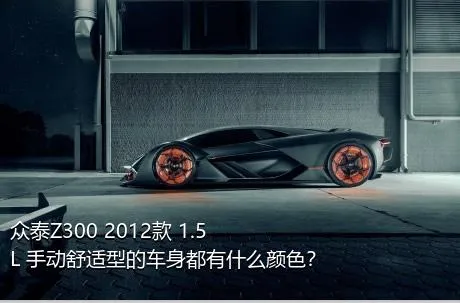 众泰Z300 2012款 1.5L 手动舒适型的车身都有什么颜色？