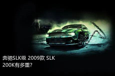 奔驰SLK级 2009款 SLK 200K有多重？