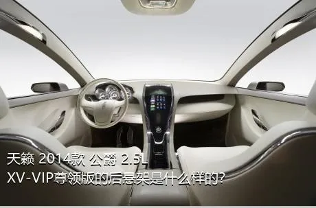 天籁 2014款 公爵 2.5L XV-VIP尊领版的后悬架是什么样的？