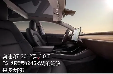 奥迪Q7 2012款 3.0 TFSI 舒适型(245kW)的轮胎是多大的？