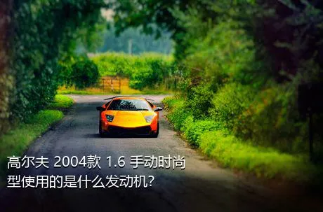 高尔夫 2004款 1.6 手动时尚型使用的是什么发动机？