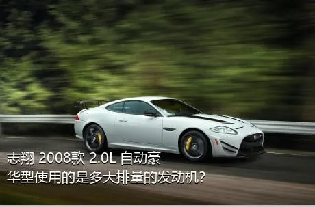 志翔 2008款 2.0L 自动豪华型使用的是多大排量的发动机？