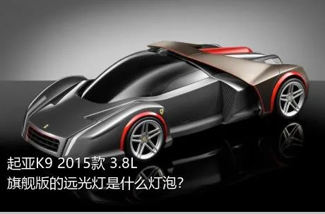 起亚K9 2015款 3.8L 旗舰版的远光灯是什么灯泡？