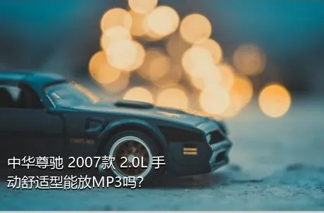 中华尊驰 2007款 2.0L 手动舒适型能放MP3吗？