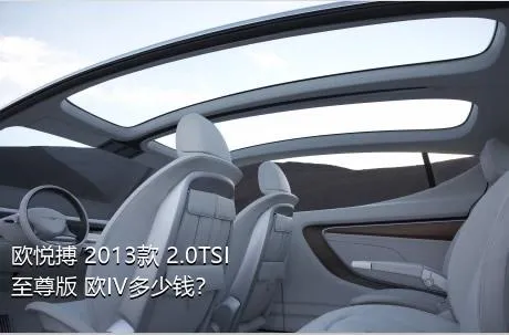 欧悦搏 2013款 2.0TSI 至尊版 欧IV多少钱？