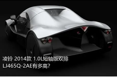 凌铃 2014款 1.0L短轴版双排LJ465Q-2AE有多高？