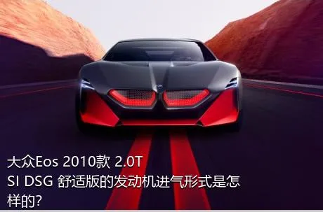 大众Eos 2010款 2.0TSI DSG 舒适版的发动机进气形式是怎样的？