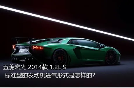 五菱宏光 2014款 1.2L S 标准型的发动机进气形式是怎样的？