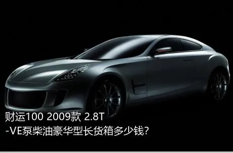 财运100 2009款 2.8T-VE泵柴油豪华型长货箱多少钱？