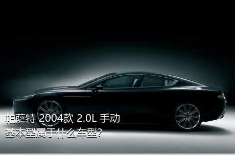 帕萨特 2004款 2.0L 手动基本型属于什么车型？