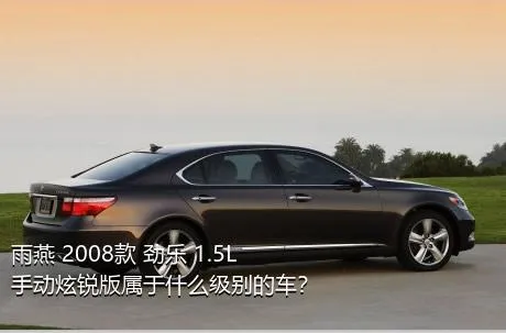 雨燕 2008款 劲乐 1.5L 手动炫锐版属于什么级别的车？