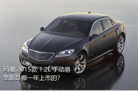 玛驰 2015款 1.2L 手动易享版是哪一年上市的？