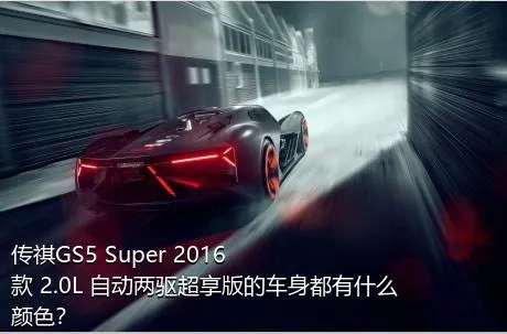 传祺GS5 Super 2016款 2.0L 自动两驱超享版的车身都有什么颜色？