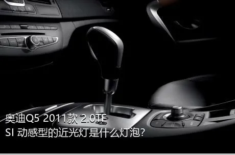 奥迪Q5 2011款 2.0TFSI 动感型的近光灯是什么灯泡？