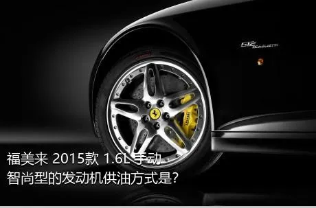 福美来 2015款 1.6L 手动智尚型的发动机供油方式是？