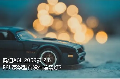 奥迪A6L 2009款 2.8 FSI 豪华型有没有前雾灯？