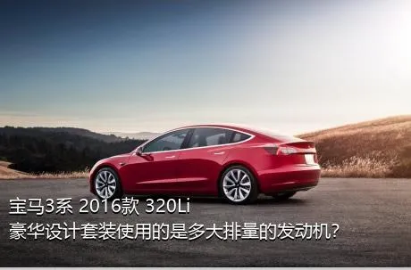 宝马3系 2016款 320Li 豪华设计套装使用的是多大排量的发动机？