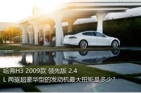 哈弗H3 2009款 领先版 2.4L 两驱超豪华型的发动机最大扭矩是多少？