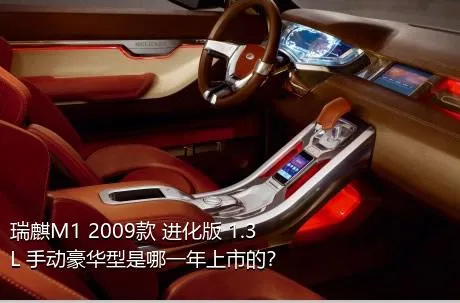 瑞麒M1 2009款 进化版 1.3L 手动豪华型是哪一年上市的？