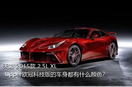 天籁 2015款 2.5L XL Upper欧冠科技版的车身都有什么颜色？