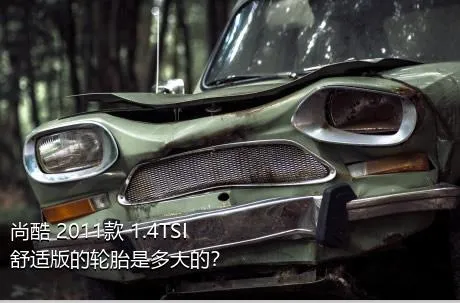 尚酷 2011款 1.4TSI 舒适版的轮胎是多大的？